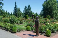 Rose Garden, Portland